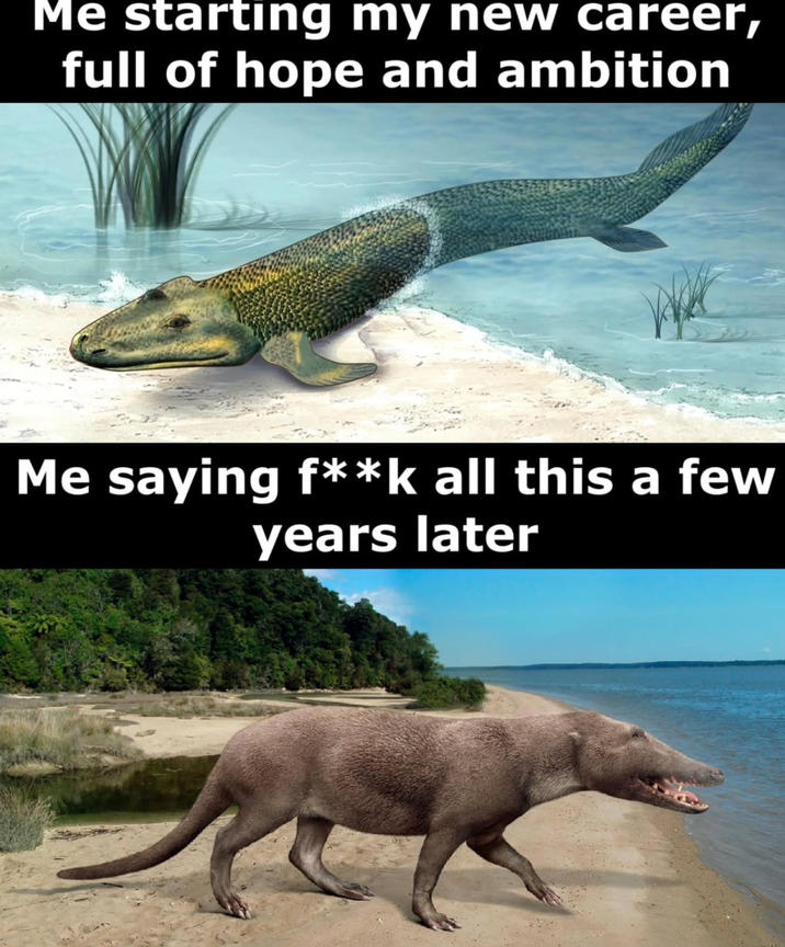 Me starting my new career, full of hope and ambition Me saying f**k all this a few years later