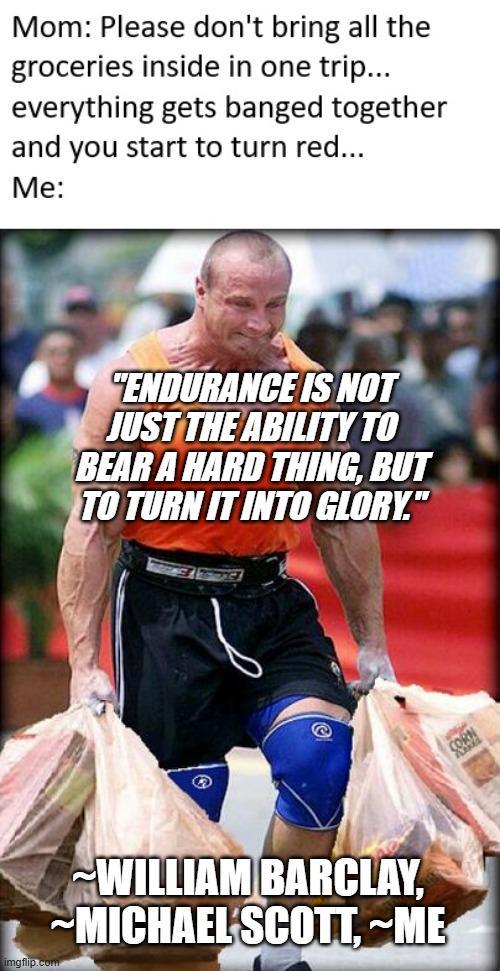 Mom: Please don't bring all the groceries inside in one trip... everything gets banged together and you start to turn red... Me: "ENDURANCE IS NOT JUST THE ABILITY TO BEAR A HARD THING, BUT TO TURN IT INTO GLORY." G imgflip.com WILLIAM BARCLAY, MICHAEL SCOTT, ME