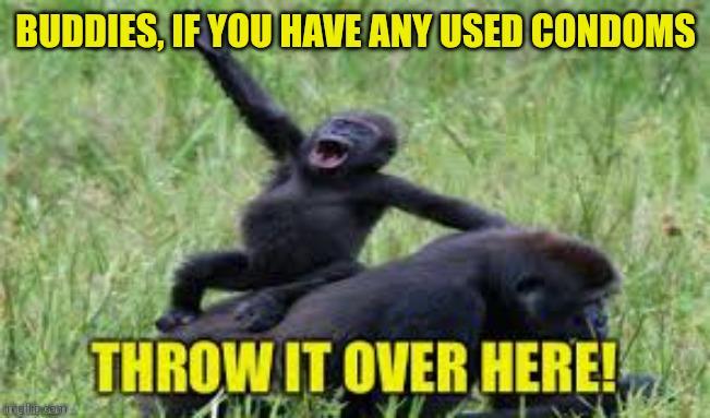 BUDDIES, IF YOU HAVE ANY USED CONDOMS ingillip.com THROW IT OVER HERE!