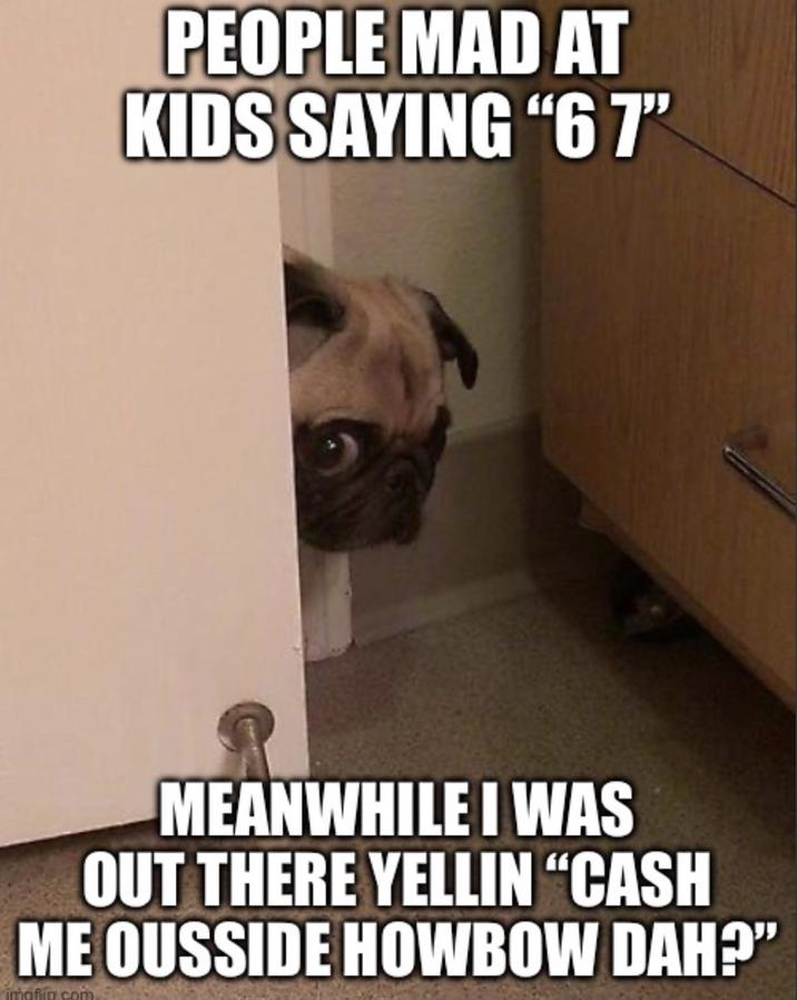 PEOPLE MAD AT KIDS SAYING "67" MEANWHILE I WAS OUT THERE YELLIN “CASH ME OUSSIDE HOWBOW DAH?" imgfig.com
