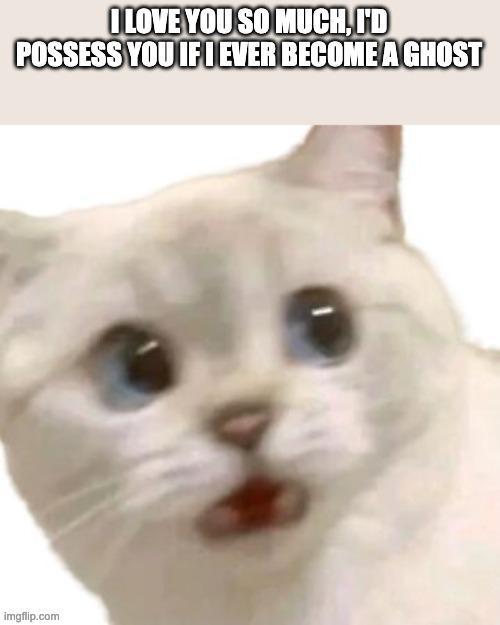 I LOVE YOU SO MUCH, I'D POSSESS YOU IF I EVER BECOME A GHOST imgflip.com
