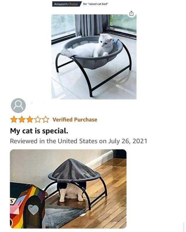 Amazon's Choice for "raised cat bed" Verified Purchase My cat is special. Reviewed in the United States on July 26, 2021 S