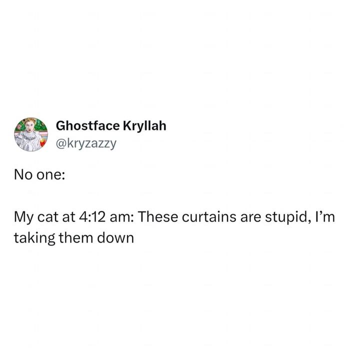 Ghostface Kryllah @kryzazzy No one: My cat at 4:12 am: These curtains are stupid, I'm taking them down
