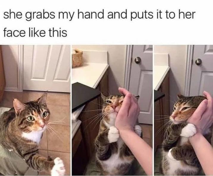 she grabs my hand and puts it to her face like this