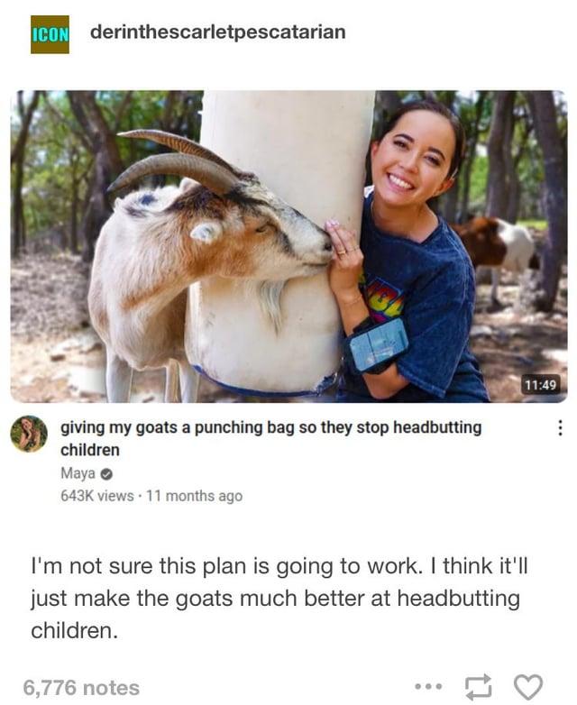ICON derinthescarletpescatarian giving my goats a punching bag so they stop headbutting children Maya 643K views • 11 months ago I'm not sure this plan is going to work. I think it'll just make the goats much better at headbutting children. 6,776 notes 14 11:49