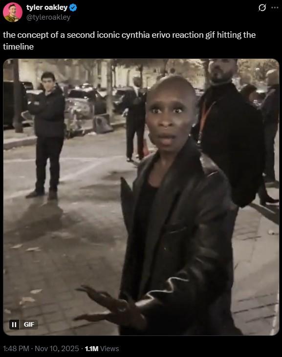 A tweet by Tyler Oakley. It reads, "the concept of a second iconic cynthia erivo reaction gif hitting the timeline."