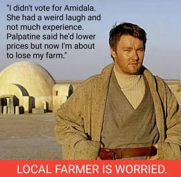 "I didn't vote for Amidala. She had a weird laugh and not much experience. Palpatine said he'd lower prices but now I'm about to lose my farm." LOCAL FARMER IS WORRIED.