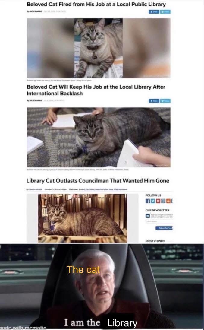 Beloved Cat Fired from His Job at a Local Public Library Beloved Cat Will Keep His Job at the Local Library After International Backlash Library Cat Outlasts Councilman That Wanted Him Gone The cat I am the Library made with mematic FOLLOW US OUR NEWSLETTER MOST VIEWED