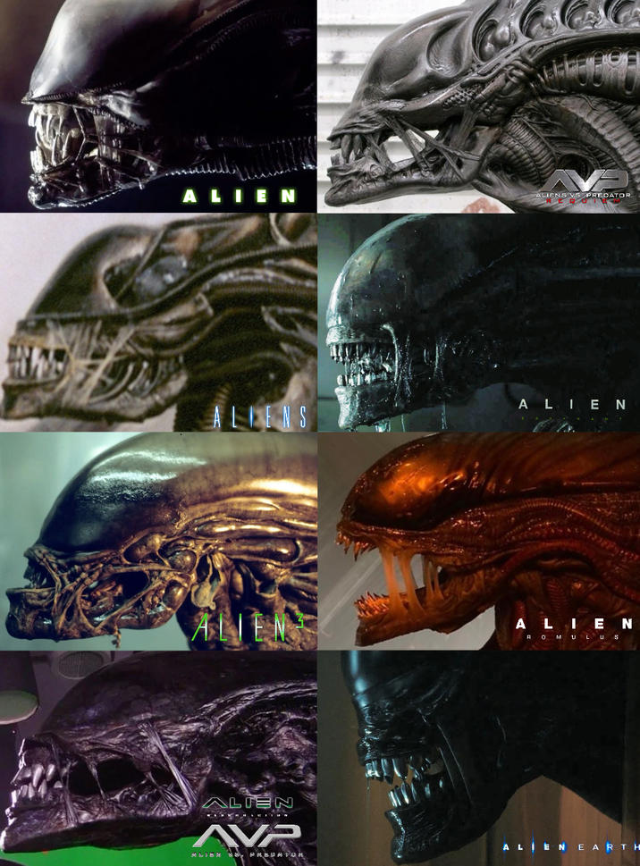 ALIEN ALIENS VS PREDATOR REDOI ALIENS ALIEN ALIEN ALIEN ROMULUS ALIEN AVP ALIEN PREDATOR ALIEN EARTH
