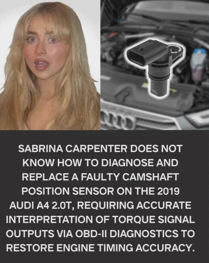 SABRINA CARPENTER DOES NOT KNOW HOW TO DIAGNOSE AND REPLACE A FAULTY CAMSHAFT POSITION SENSOR ON THE 2019 AUDI A4 2.0T, REQUIRING ACCURATE INTERPRETATION OF TORQUE SIGNAL OUTPUTS VIA OBD-II DIAGNOSTICS TO RESTORE ENGINE TIMING ACCURACY.