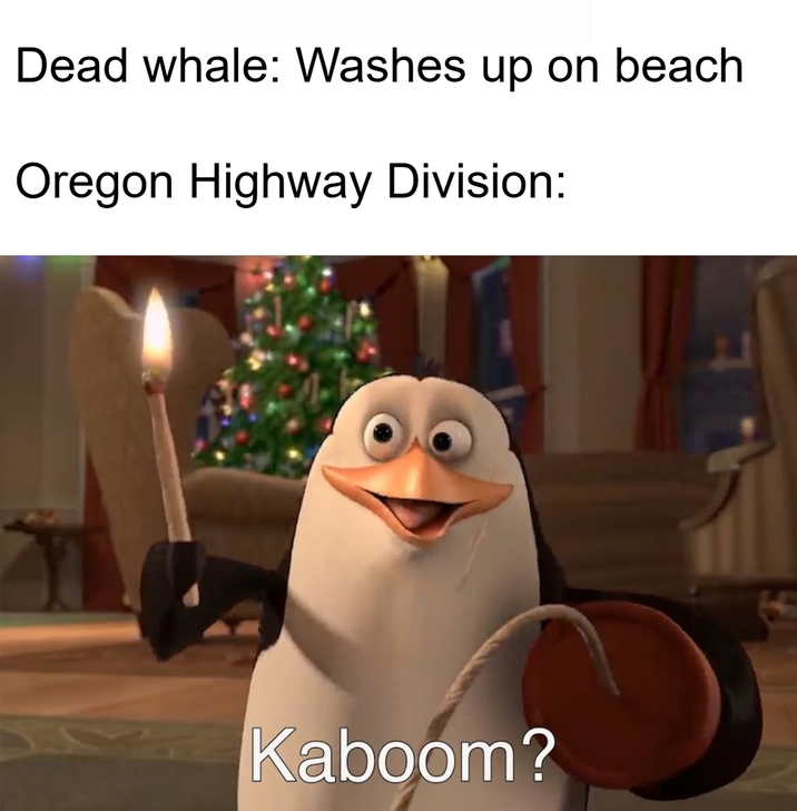 Dead whale: Washes up on beach Oregon Highway Division: Kaboom?