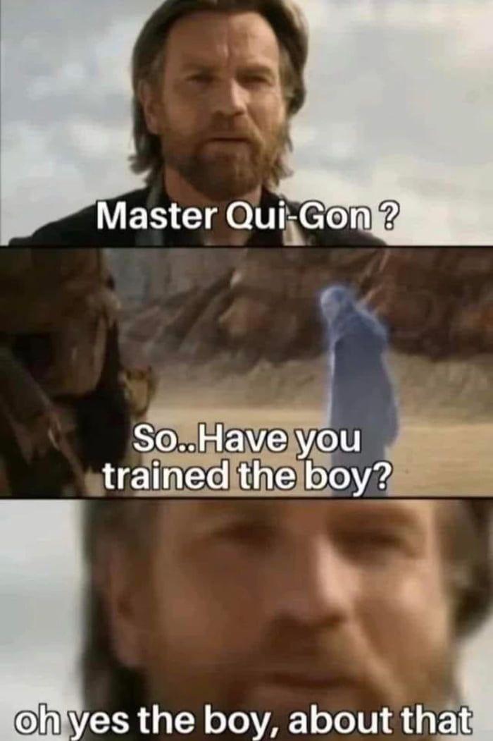 Master Qui-Gon? So..Have you trained the boy? oh yes the boy, about that