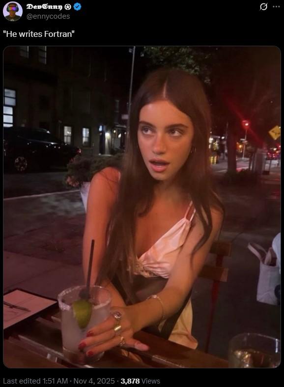 DevEnny @ennycodes "He writes Fortran" Q Last edited 1:51 AM Nov 4, 2025 - 3,878 Views