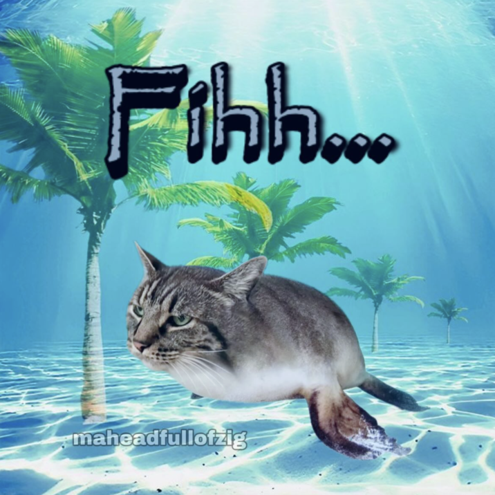 The first discovered "Fih" meme, showing a "cat":https://knowyourmeme.com/memes/subcultures/cats "photoshopped":https://knowyourmeme.com/memes/sites/photoshop onto a fish's head. 