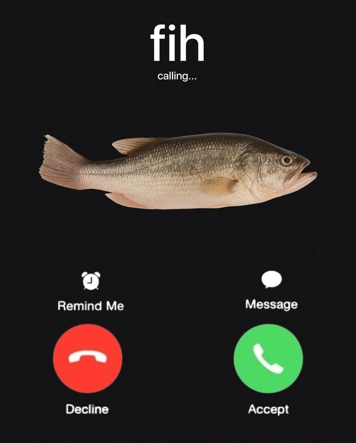 The original "Fih is Calling" meme, showing a fish, labeled "Fih," calling on an iPhone with the option to decline or accept. The image was based on the "slang":https://knowyourmeme.com/memes/internet-slang term "Dih":https://knowyourmeme.com/memes/dih-slang and the "John Pork is Calling":https://knowyourmeme.com/memes/people/john-pork-john-pork-is-calling meme. 