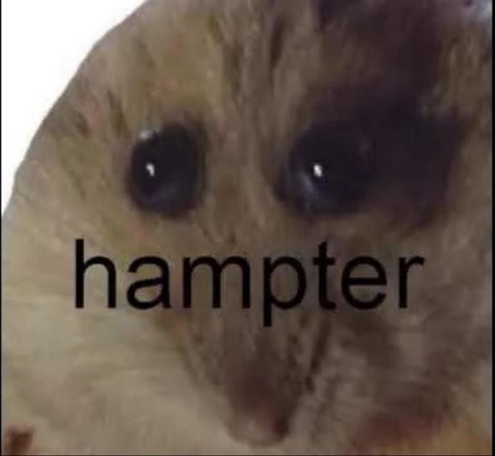hampter