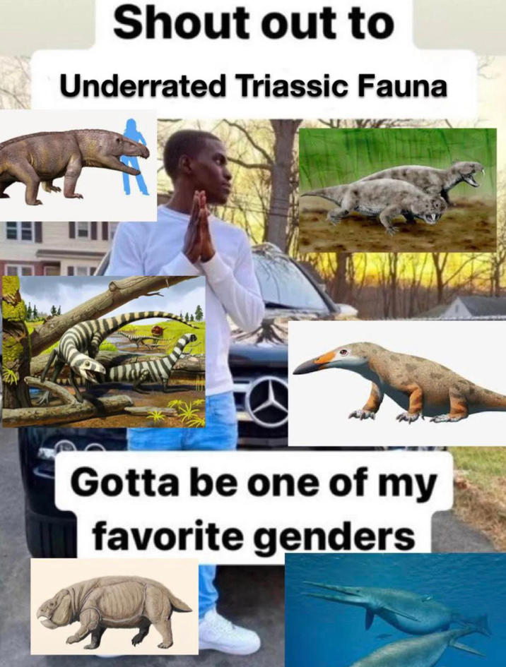 Shout out to Underrated Triassic Fauna Gotta be one of my favorite genders
