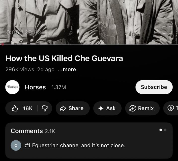 0:05/ 39:53 How the US Killed Che Guevara 296K views 2d ago ...more Horses Horses 1.37M 16K Subscribe Share Ask Remix $ 1 Comments 2.1K #1 Equestrian channel and it's not close.