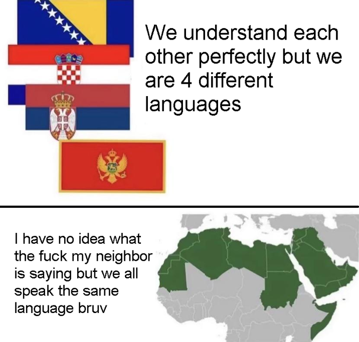 We understand each other perfectly but we are 4 different languages I have no idea what the f--- my neighbor is saying but we all speak the same language bruv