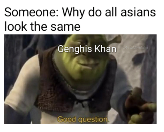 Someone: Why do all asians look the same Genghis Khan Good question.