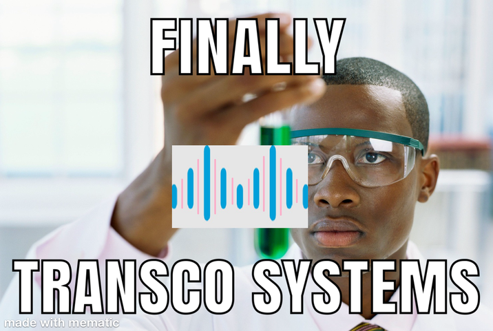 FINALLY TRANSCO SYSTEMS made with mematic