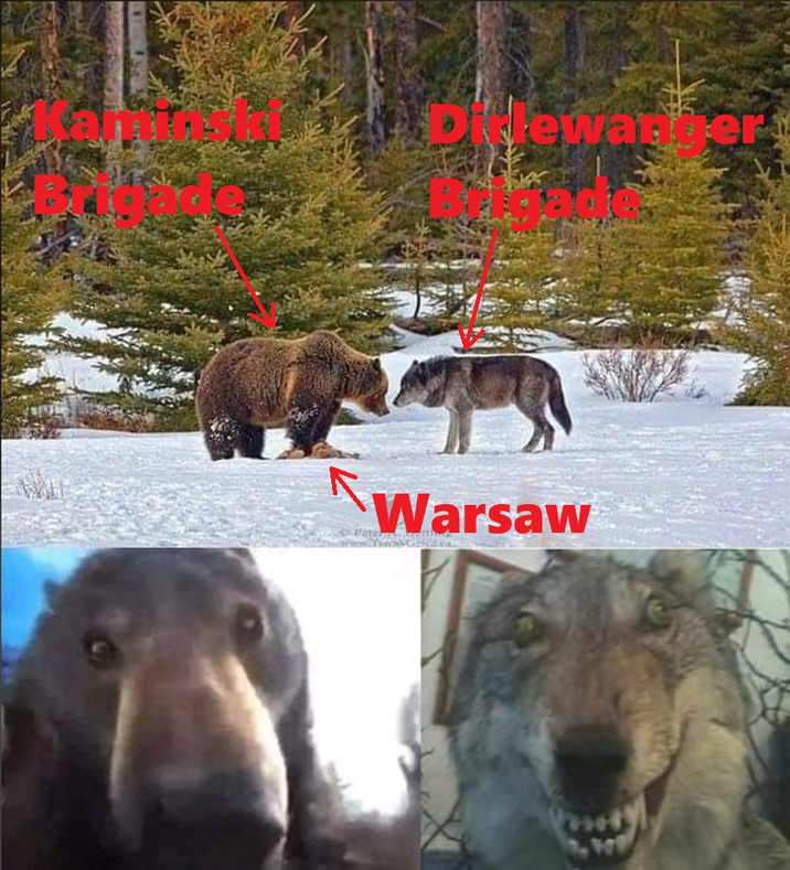 Dilewanger Warsaw