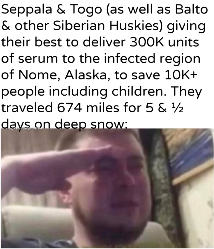 Seppala & Togo (as well as Balto & other Siberian Huskies) giving their best to deliver 300K units of serum to the infected region of Nome, Alaska, to save 10K+ people including children. They traveled 674 miles for 5 & 1½ on deep snow: u/Khantlerpartesar