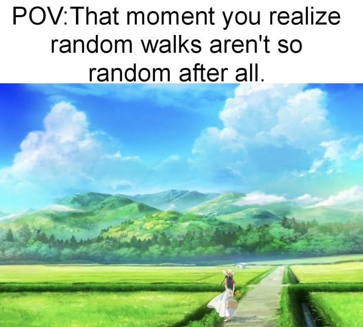 POV: That moment you realize random walks aren't so random after all.