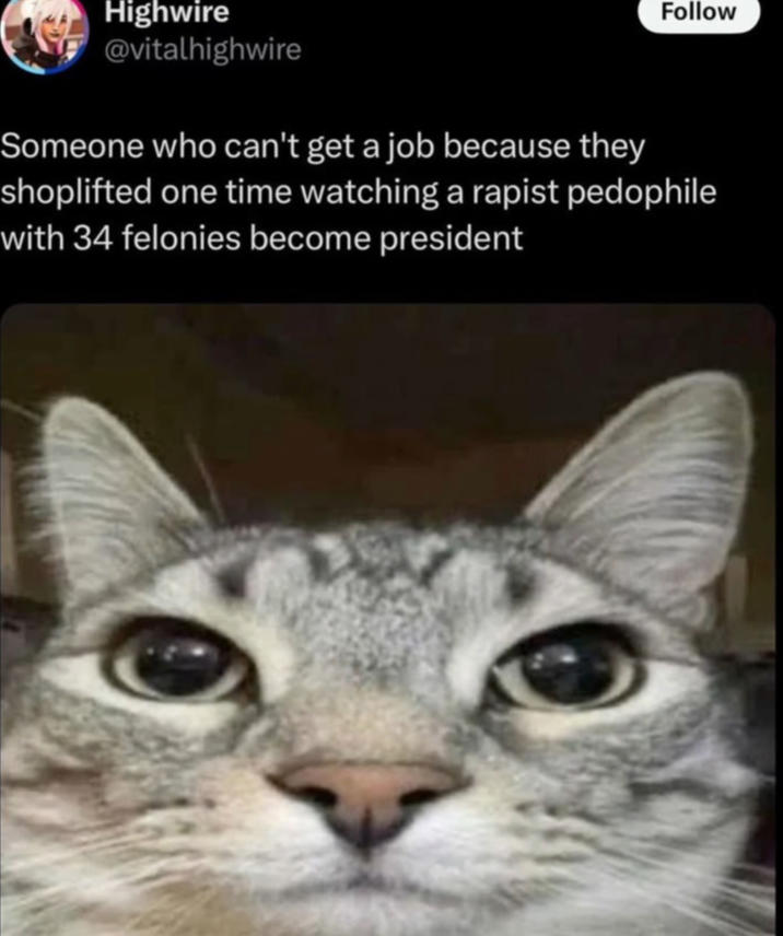Highwire @vitalhighwire Follow Someone who can't get a job because they shoplifted one time watching a r----- p-------- with 34 felonies become president