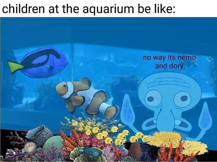 children at the aquarium be like: no way its nemo and dory
