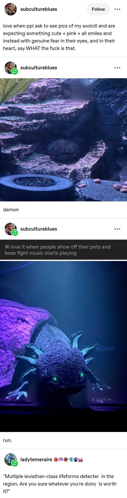 subcultureblues Follow love when ppl ask to see pics of my axolotl and are expecting something cute + pink + all smiles and instead with genuine fear in their eyes, and in their heart, say WHAT the f--- is that. demon subcultureblues subcultureblues #I love it when people show off their pets and boss fight music starts playing run. ladytemeraire 601 "Multiple leviathan-class lifeforms detected in the region. Are you sure whatever you're doing is worth it?"