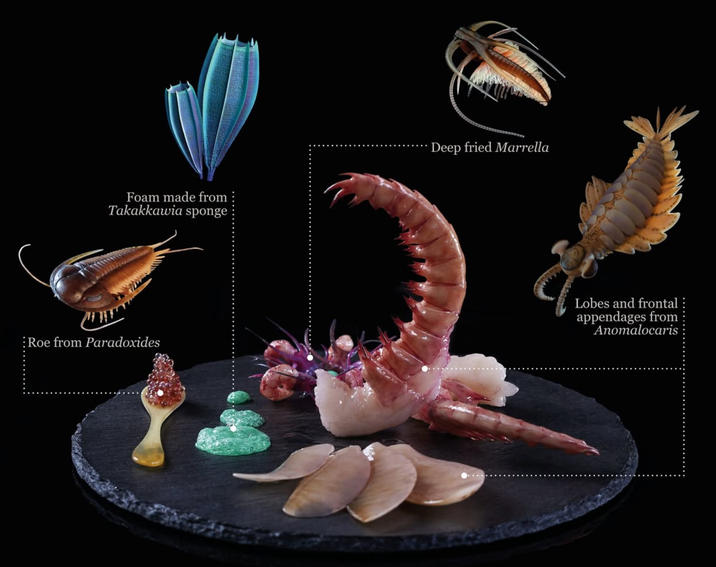 Foam made from Takakkawia sponge Roe from Paradoxides Deep fried Marrella Lobes and frontal appendages from Anomalocaris