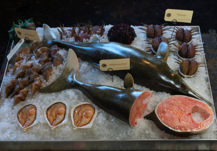 Brachiopods Ichthyosaur beef per beef 2.535 € Wiwaria per pair 1.000 C