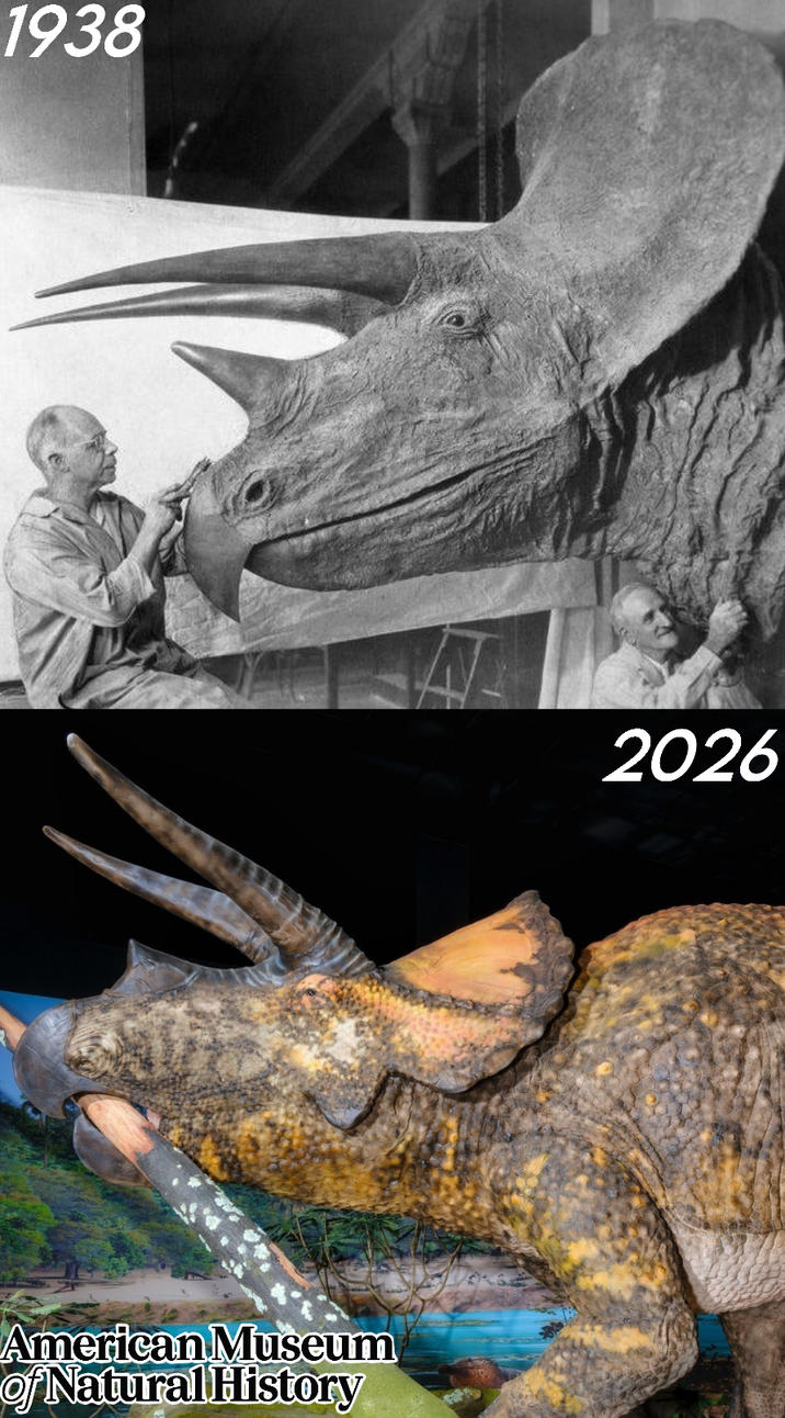 1938 American Museum of Natural History 2026