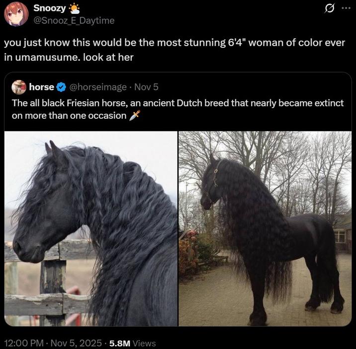 A response to a tweet about Friesian horses. It reads, "you just know this would be the most stunning 6'4" woman of color ever in umamusume. look at her."