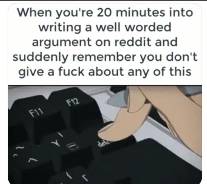 When you're 20 minutes into writing a well worded argument on reddit and suddenly remember you don't give a f--- about any of this F11 F12 del