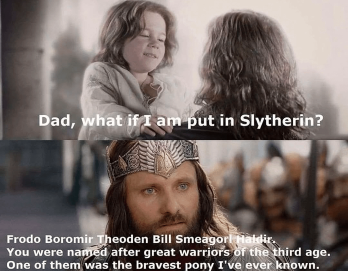 Dad, what if I am put in Slytherin? Frodo Boromir Theoden Bill Smeagor! Haldir. You were named after great warriors of the third age. One of them was the bravest pony I've ever known.