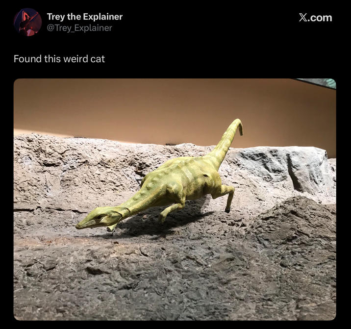 Trey the Explainer @Trey_Explainer X.com Found this weird cat