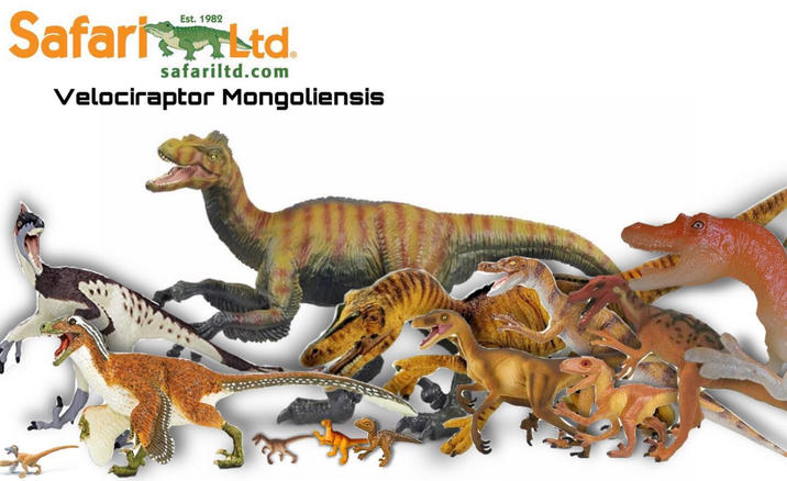 1982 Safaris Ltd. safariltd.com Velociraptor Mongoliensis