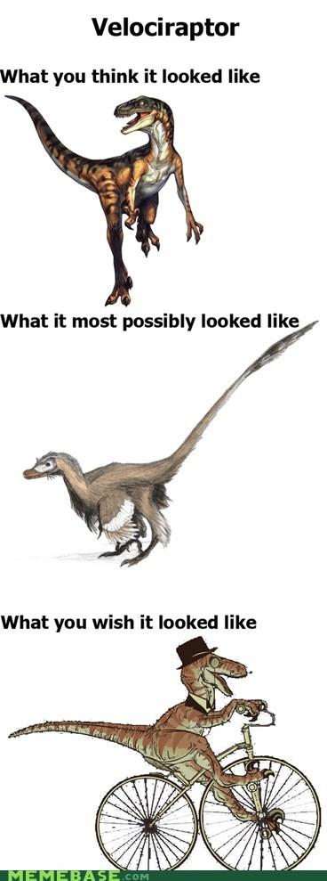 Velociraptor What you think it looked like What it most possibly looked like What you wish it looked like MEMEBASE.COM