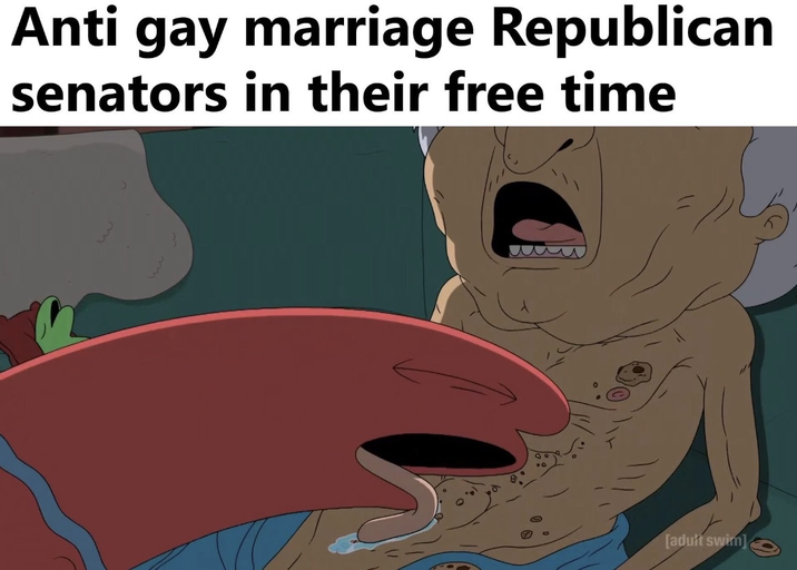 Anti gay marriage Republican senators in their free time [adult swim]