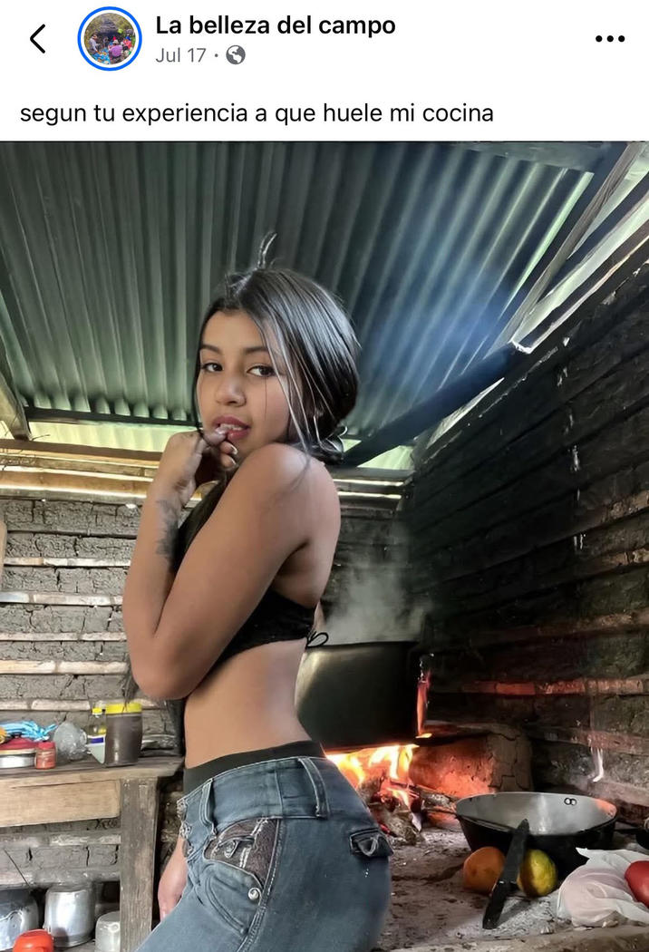 A Spanish-language "Facebook":https://knowyourmeme.com/memes/sites/facebook-meta post using the "Your Average Latina" photo of "TikTok":https://knowyourmeme.com/memes/sites/tiktok user @andaliva_official sitting next to a cooking set-up and biting her finger seductively.