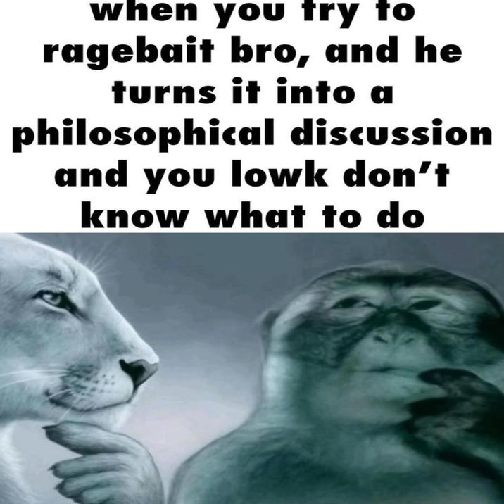 when you try to ragebait bro, and he turns it into a philosophical discussion and you lowk don't know what to do