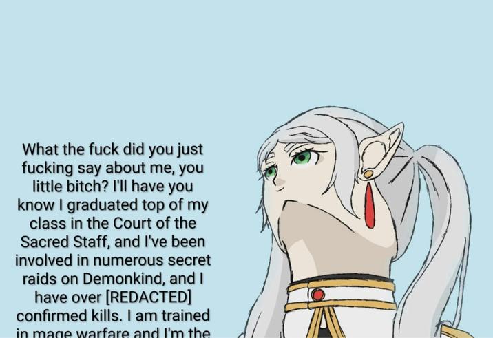 An edit of a bad Frieren drawing. The "Navy Seal copypasta":https://knowyourmeme.com/memes/navy-seal-copypasta has been added next to her face.