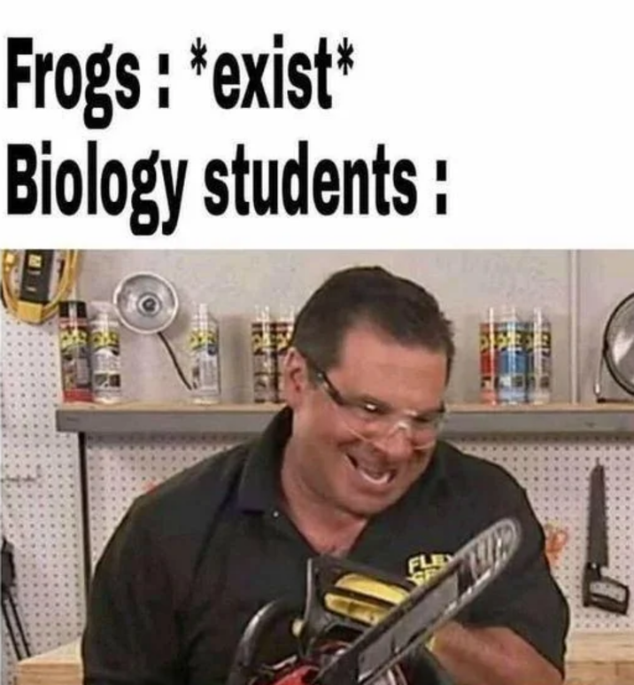 Frogs: *exist* Biology students: