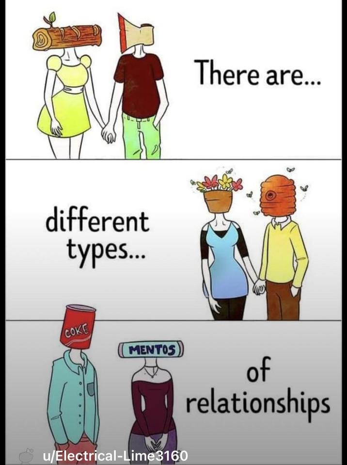 different types... COKE MENTOS u/Electrical-Lime3160 There are... of relationships