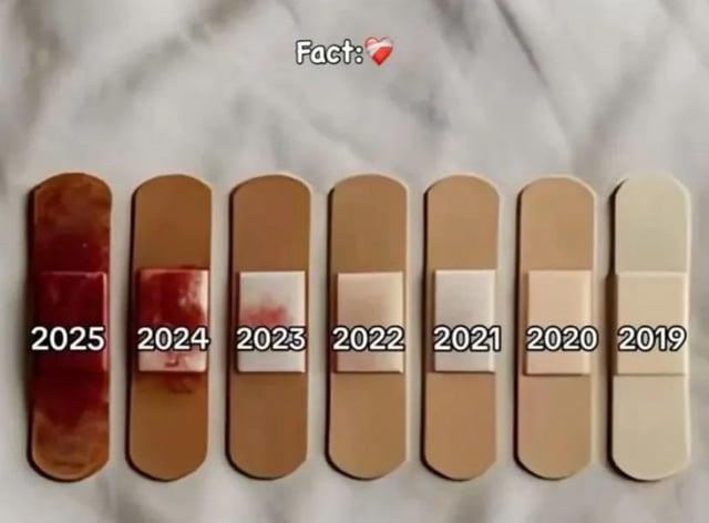 Fact: 2025 2024 2023 2022 2021 2020 2019