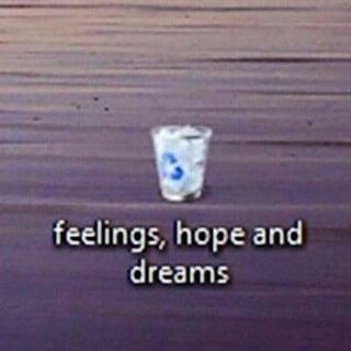 feelings, hope and dreams