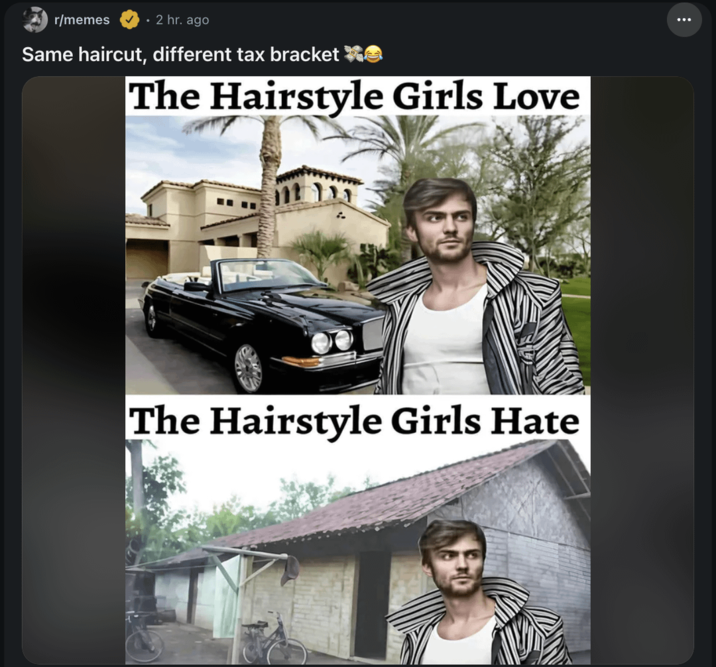 r/memes • 2 hr. ago Same haircut, different tax bracket The Hairstyle Girls Love The Hairstyle Girls Hate