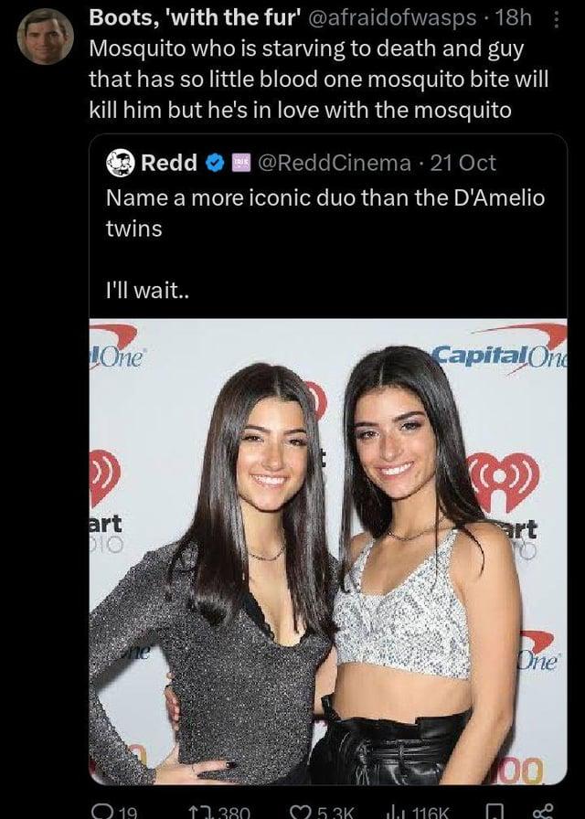Boots, 'with the fur' @afraidofwasps 18h : Mosquito who is starving to death and guy that has so little blood one mosquito bite will kill him but he's in love with the mosquito → Redd → @ReddCinema - 21 Oct Name a more iconic duo than the D'Amelio twins I'll wait.. One Capital On art DIO art he One 00 19 ↑7.380 25.3K 116K